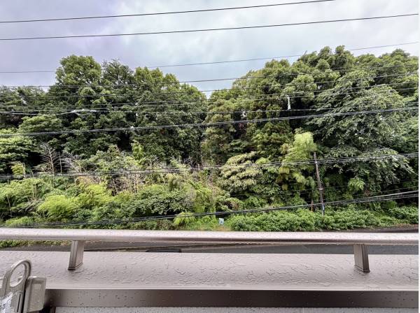 バルコニーからは緑景色をお楽しみいただけます