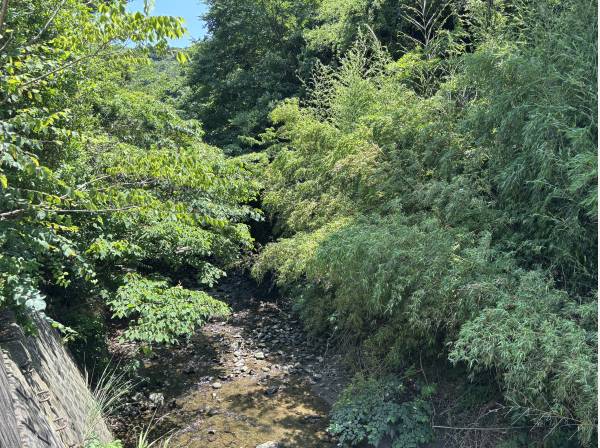 下山川のせせらぎ、豊かな自然に包まれる暮らしの場