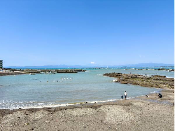 マンション目の前に広がる真名瀬海岸