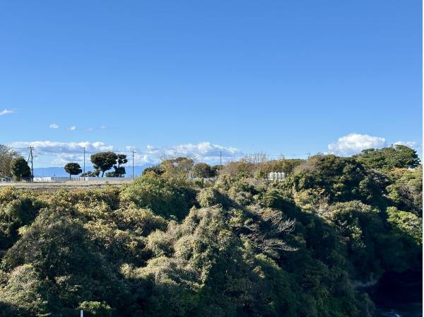 曇っていましたが、真ん中の雲の先に富士山を望みます