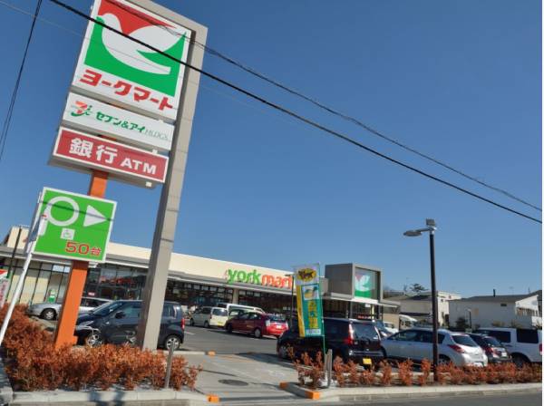 ヨークフーズ辻堂太平台店まで徒歩9分（約650m）