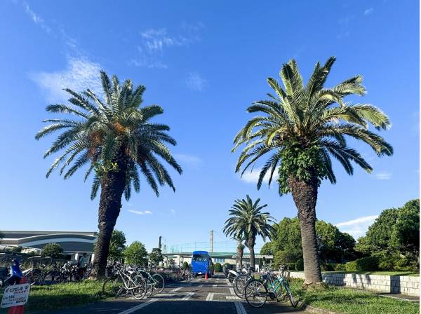 八部公園まで徒歩8分 (約600ｍ)