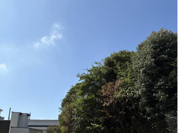 広い空に心地よいグリーンビューが愉しめます