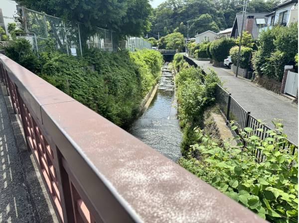 敷地の脇に流れる滑川「あかしはし」下はカルガモや鯉が泳いでいます