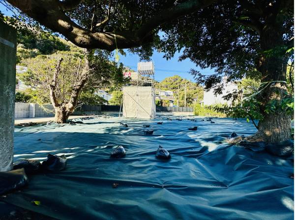 自然豊かな現地