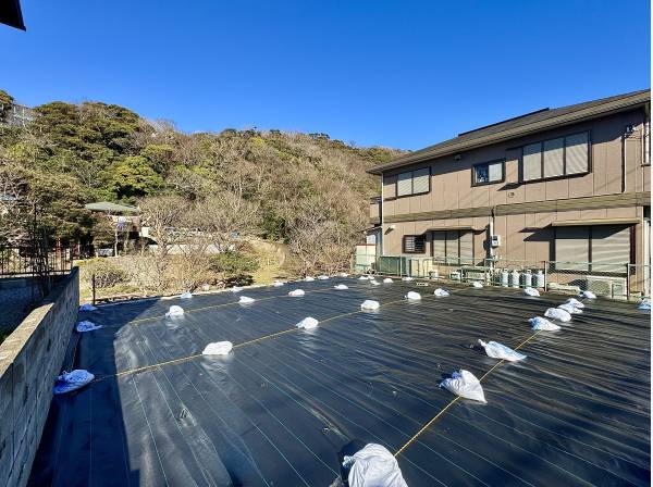 視界が抜けるという贅沢。カーテンより、グリーンな日常。