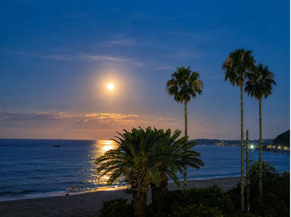 月明かりが海面を照らし、幻想的な夜景が広がる特別なロケーション。