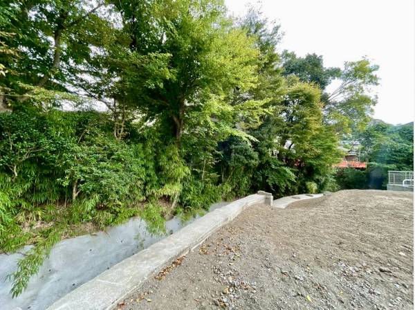 窓の外は、一面の緑。この自然を借景に、どんな理想の家を建てますか？