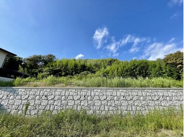 見晴らし、眺望goodです！