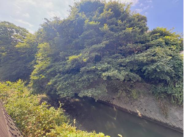 現地目の前は下山川が流れます。