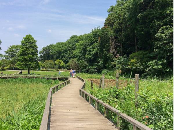 新林公園まで徒歩12分（約920m）