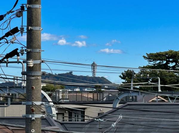 ルーフバルコニーからは江の島が一望できますよ！