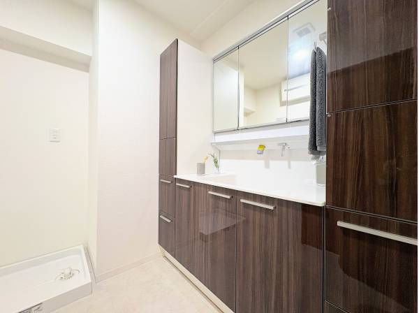 清潔感あるサニタリールーム