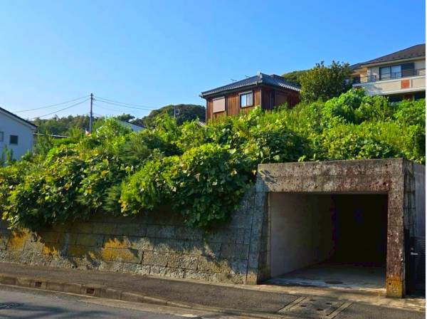 日当たり、風通しがよく心地良い場所でございます