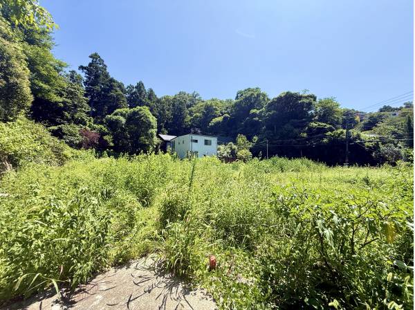 緑が心を落ち着かせますね。