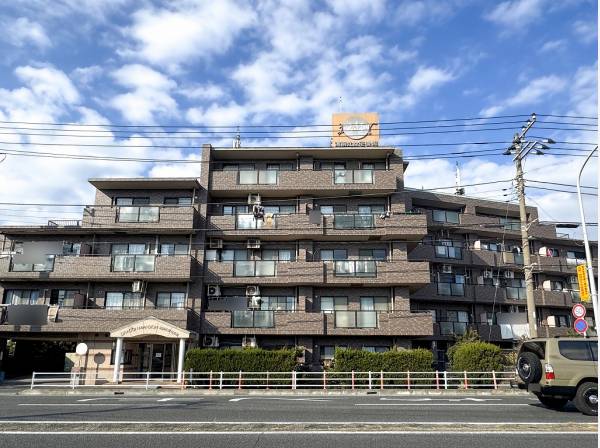 国道134号線へスムーズに合流できカーアクセス良好