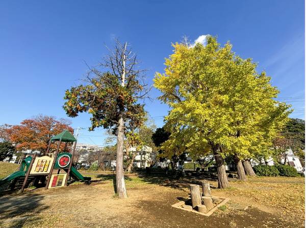 第一運動公園まで徒歩7分（約500m）