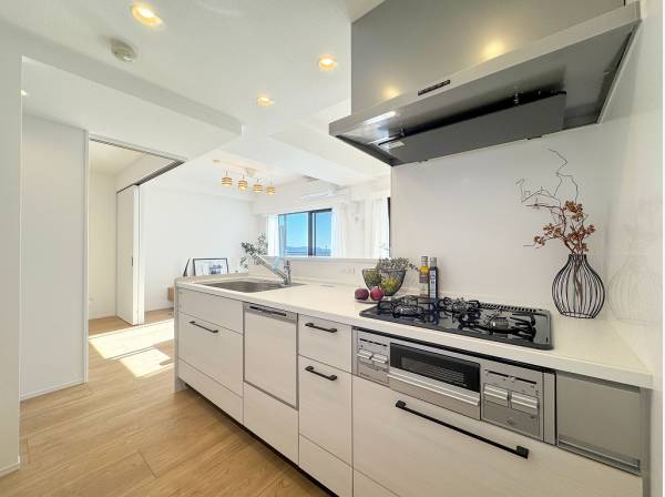 新規交換済みのキッチンには食洗機を完備