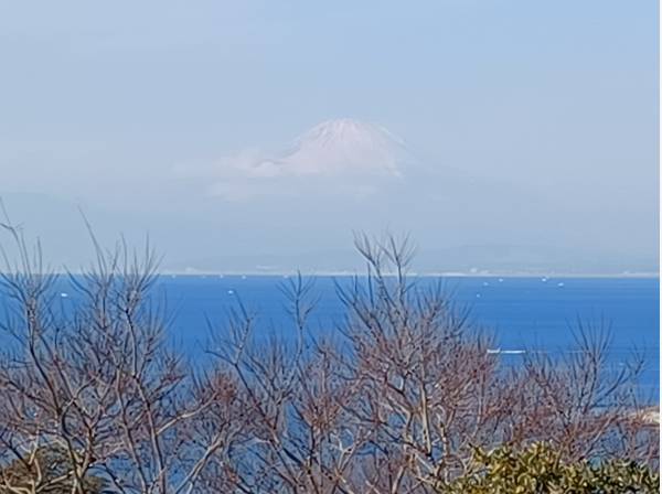 どかんと正面に富士山を望みます