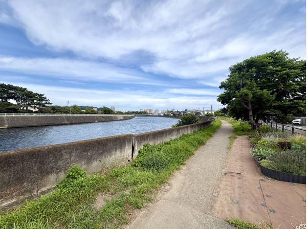 境川沿道まで徒歩2分（約160m）です。気持ちの良い毎日のお散歩コース