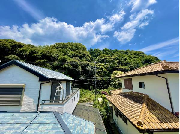 色鮮やかな緑と青空が望めます