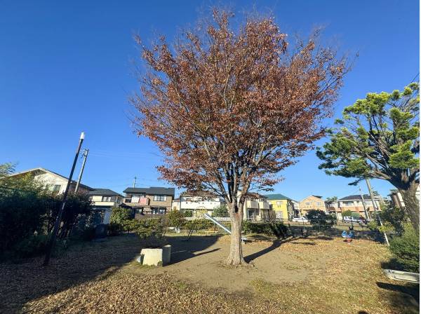 辻堂砂場公園まで徒歩5分（約400m）