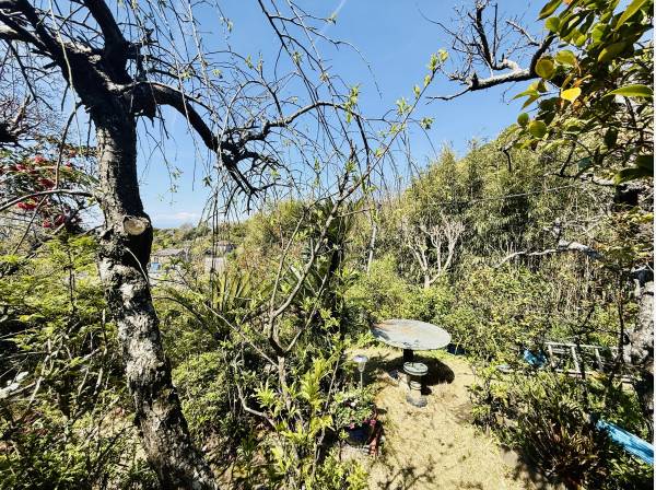 地形を活かした自然庭園