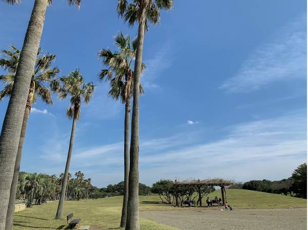 辻堂海浜公園　約1100ｍ　徒歩14分