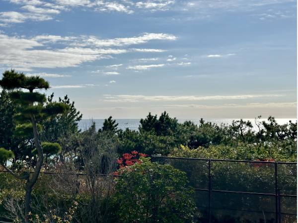 海を望む非日常空間