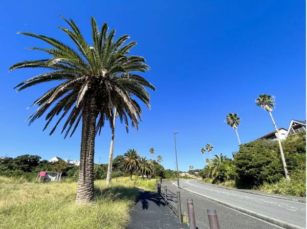 佐島の丘入り口！