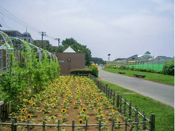 辻堂海浜公園まで徒歩3分（約240m）