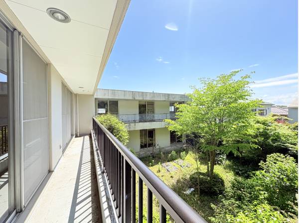 母屋からの眺望です