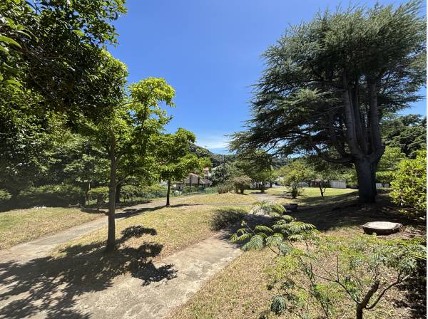 道路向かいは広々とした公園で開放感に優れます