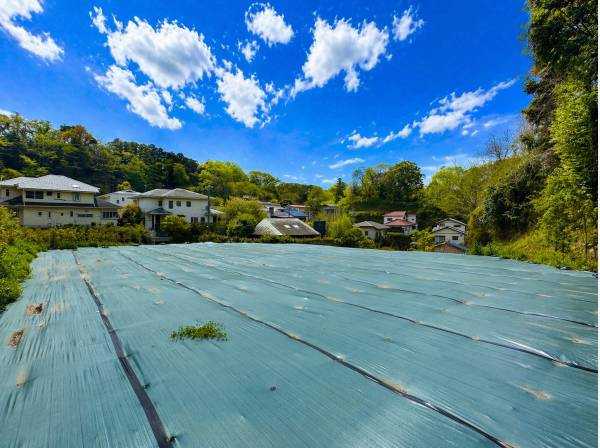 周囲にゆとりある住宅街、自然と共存する落ち着いた街並み。