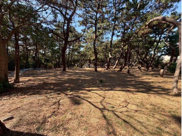 小和田浜公園まで約10m・徒歩1分と通りを挟んで目の前！！