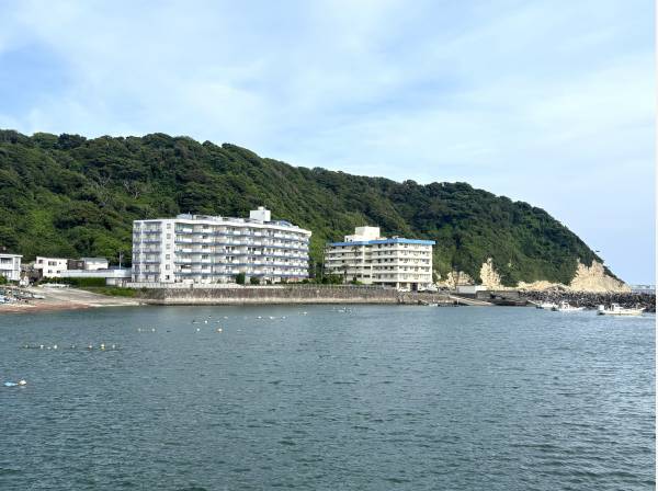 左側のマンションです。逗子マリーナからも見えました！