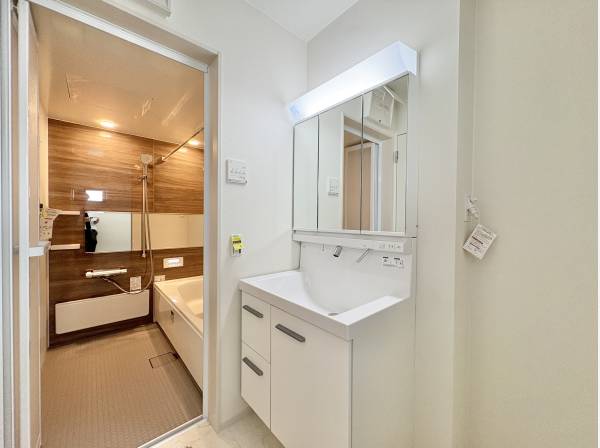 鏡の裏にはたっぷりと収納ができるスペースを装備しております。