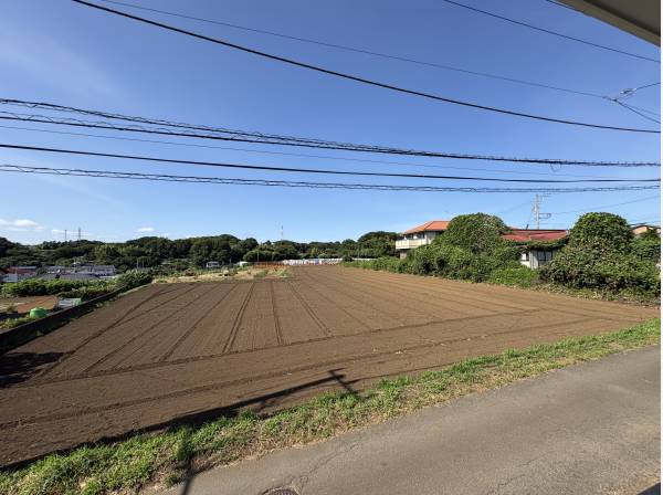 先ほどの洋室の窓を除くと、、自然が広がっています！