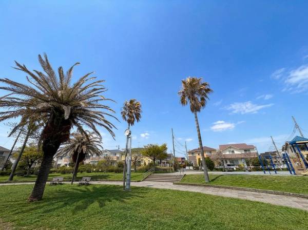 え？ハワイ？いえいえ、地元の「せせらぎ公園」ですよ(笑)