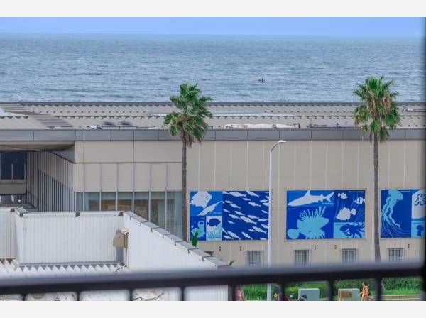 バルコニーから望む水平線の景色♪