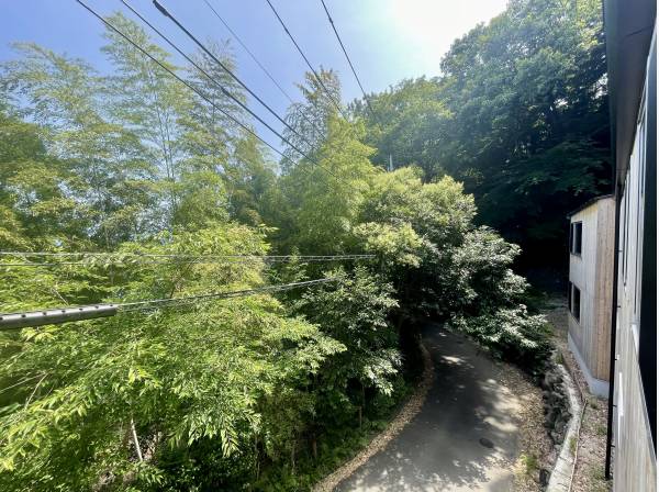 木々の間から相模湾を遠望できます