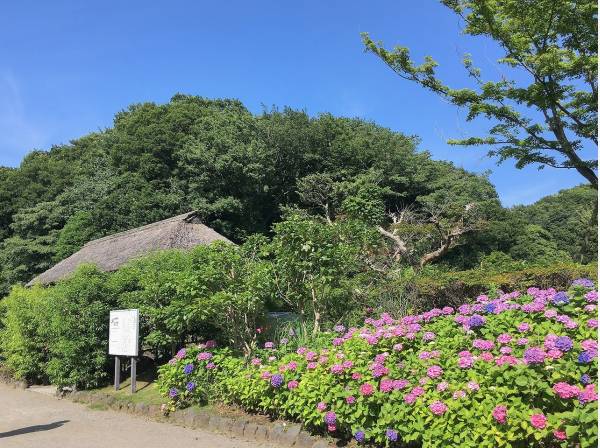 森林公園まで徒歩9分（約650m）