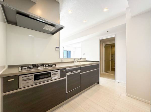 食洗機を備えたカウンターキッチン