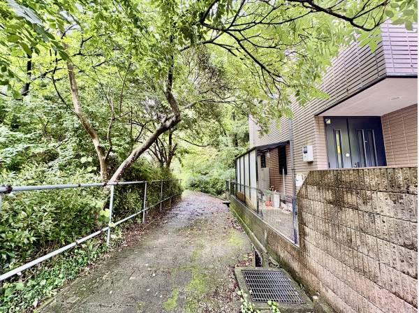 家の隣は人がほとんど通らない道があります。