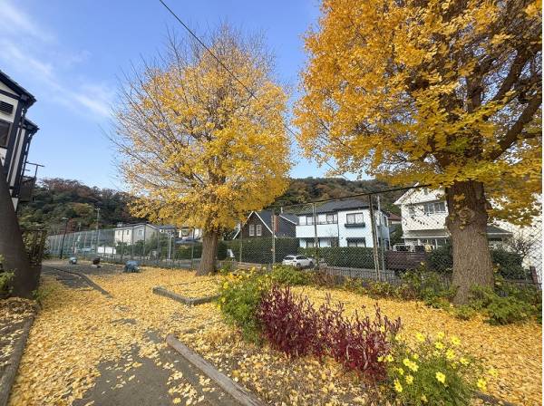 二ツ橋児童遊園まで徒歩13分（約1km）