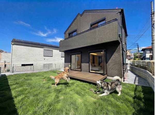 大型犬が庭で遊んでいるイメージです（AI加工です）