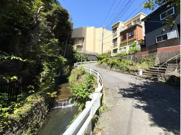 傍らを流れる小川のせせらぎ。緑の優しさに包まれる癒やしの散歩道