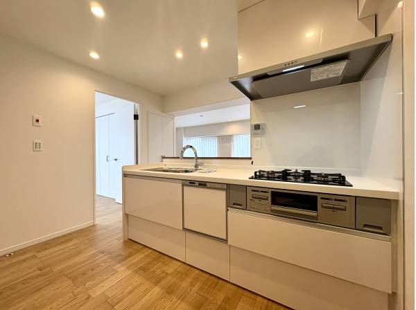 対面式システムキッチンは食洗機と浄水器付き