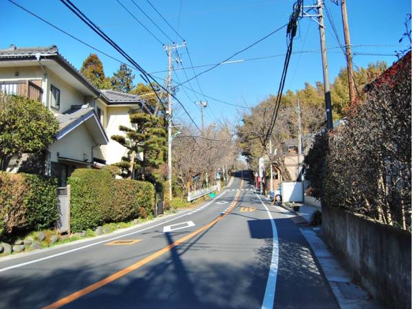鎌倉山メインストリートは桜の名所です！