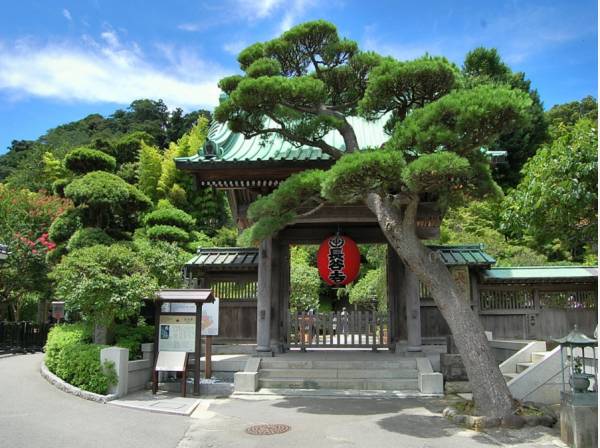 アジサイが美しい「長谷寺」まで徒歩９分(約700ｍ)